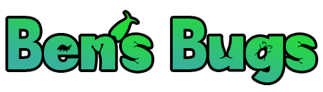 ben's-bugs-logo